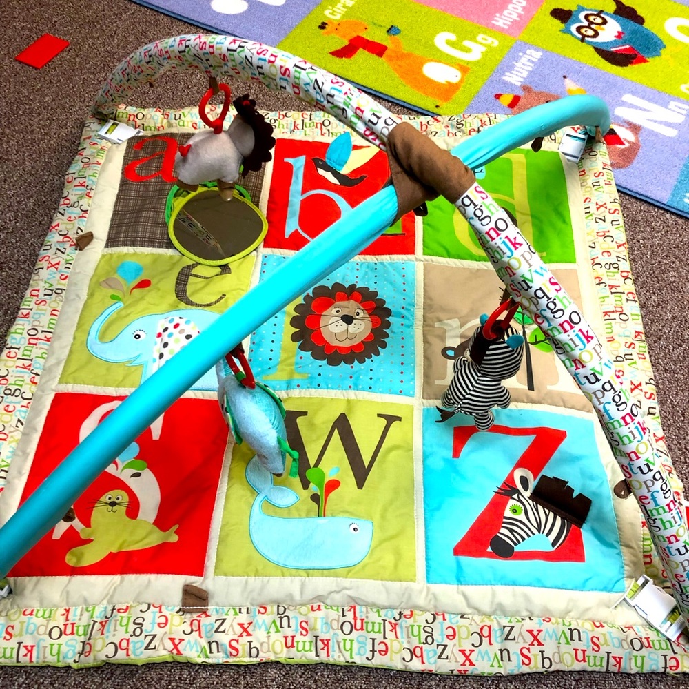 Skip Hop Playmat